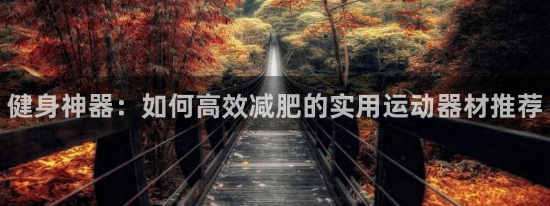 德国凯捷体育集团：健身神器：如何高效减肥的实用运动器