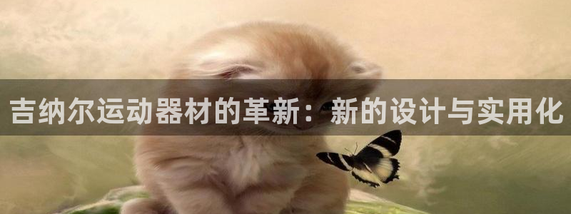 凯捷体育是干嘛的公司：吉纳尔运动器材的革新：新的设计
