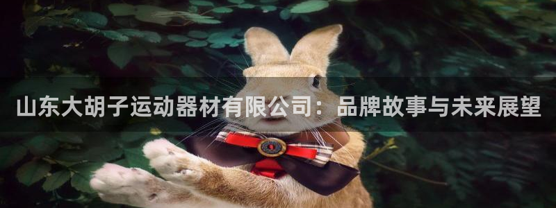 凯捷体育平台是正规平台吗安全吗：山东大胡子运动器材有