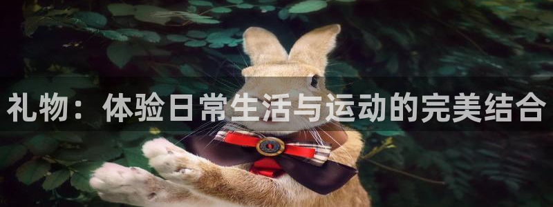 凯捷体育官方客服电话：礼物：体验日常生活与运动的完美