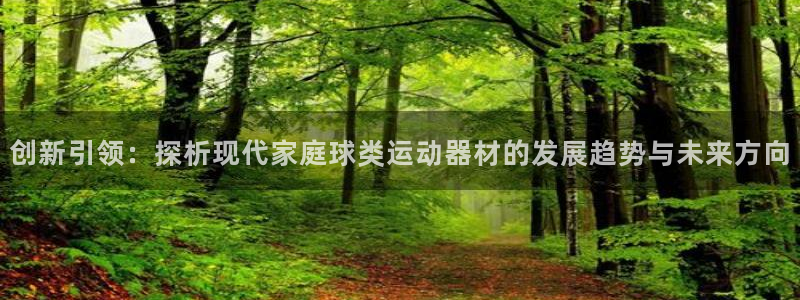凯捷体育招商电话号码：创新引领：探析现代家庭球类运动