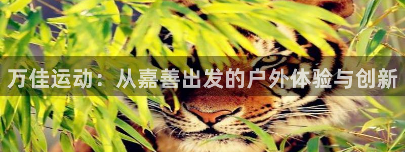 凯捷体育招商电话是多少号码：万佳运动：从嘉善出发的户