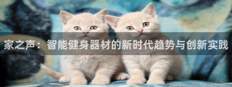 凯捷体育平台注册流程图：家之声：智能健身器材的新时代