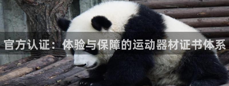 凯捷体育官方：官方认证：体验与保障的运动器材证书体系