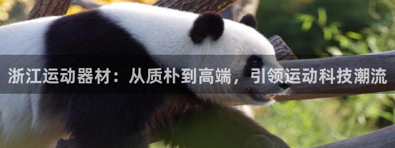 凯捷体育招商电话是多少：浙江运动器材：从质朴到高端，
