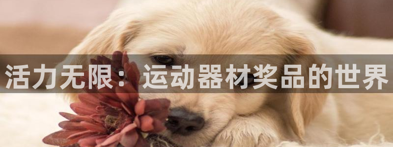 注册凯捷体育：活力无限：运动器材奖品的世界