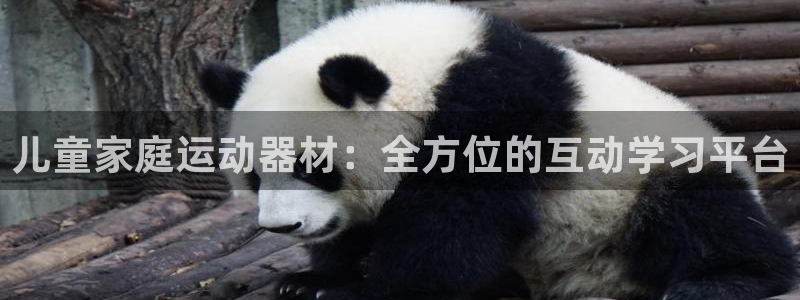 凯捷体育代理：儿童家庭运动器材：全方位的互动学习平台