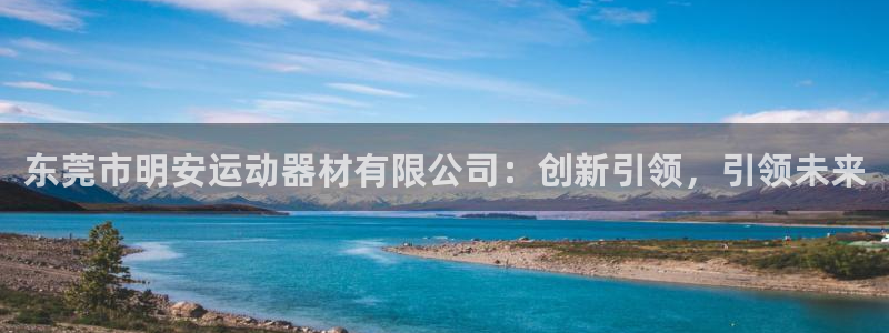 凯捷体育官方：东莞市明安运动器材有限公司：创新引领，
