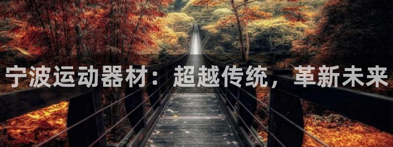凯捷体育：宁波运动器材：超越传统，革新未来