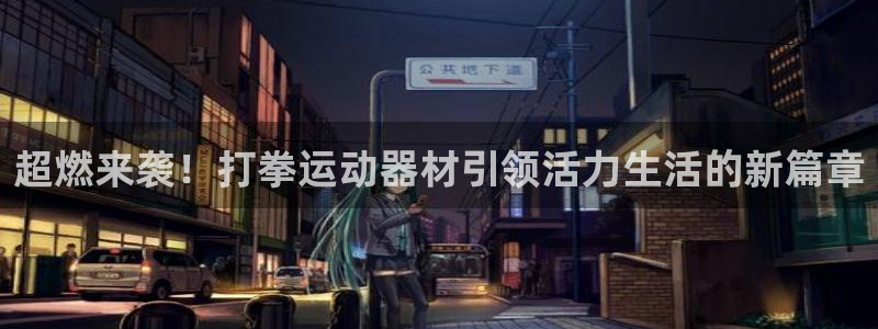 凯捷体育娱乐网站：超燃来袭！打拳运动器材引领活力生活