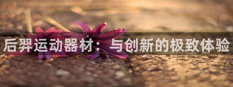 凯捷体育集团：后羿运动器材：与创新的极致体验