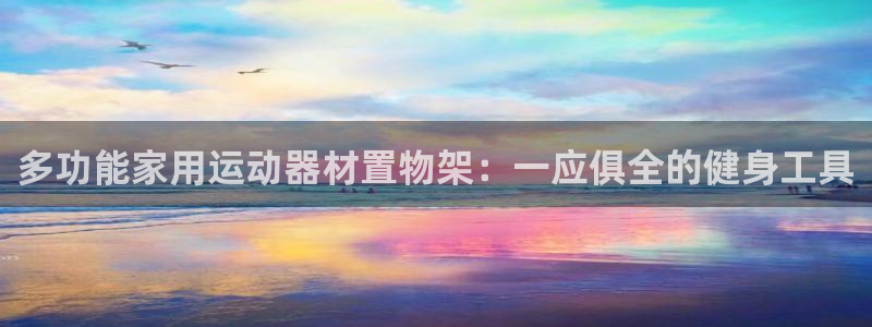 凯捷体育软件：多功能家用运动器材置物架：一应俱全的健