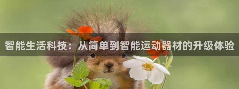 凯捷体育娱乐代理怎么样：智能生活科技：从简单到智能运