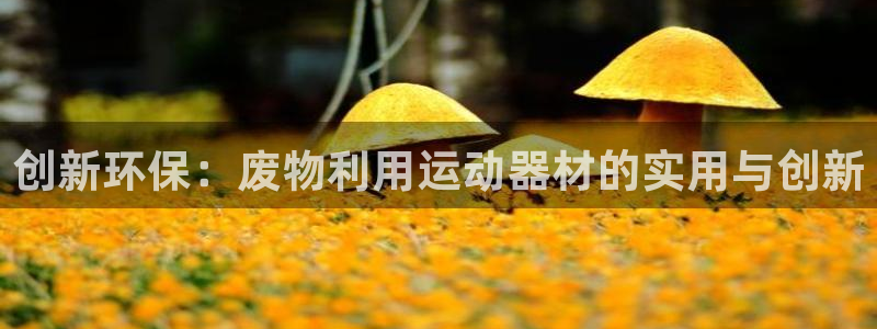 凯捷体育招商电话号码是多少啊：创新环保：废物利用运动
