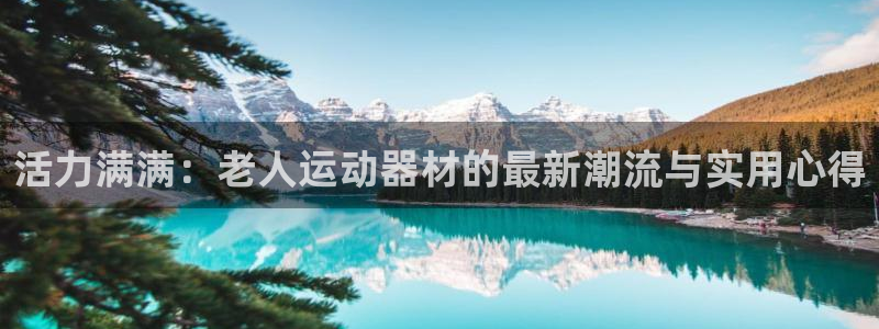 凯捷体育官方客服电话：活力满满：老人运动器材的最新潮