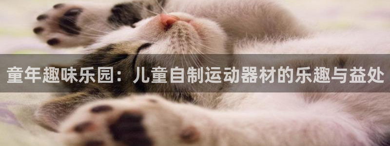 凯捷体育集团logo：童年趣味乐园：儿童自制运动器材
