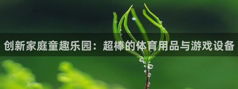 凯捷体育平台注册流程图：创新家庭童趣乐园：超棒的体育用品与游