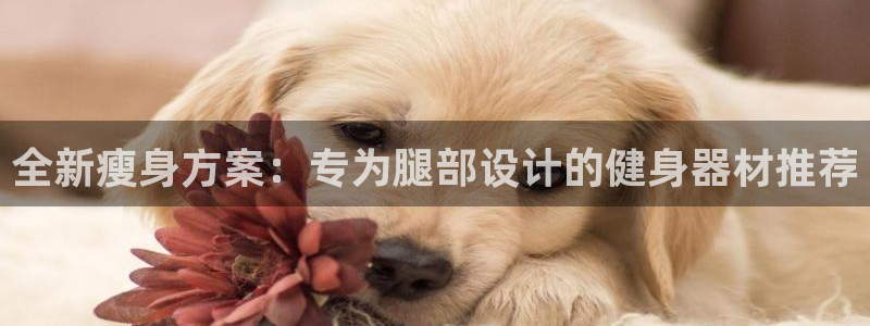 凯捷体育娱乐：全新瘦身方案：专为腿部设计的健身器材推荐