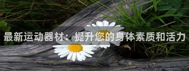 凯捷体育集团：最新运动器材：提升您的身体素质和活力