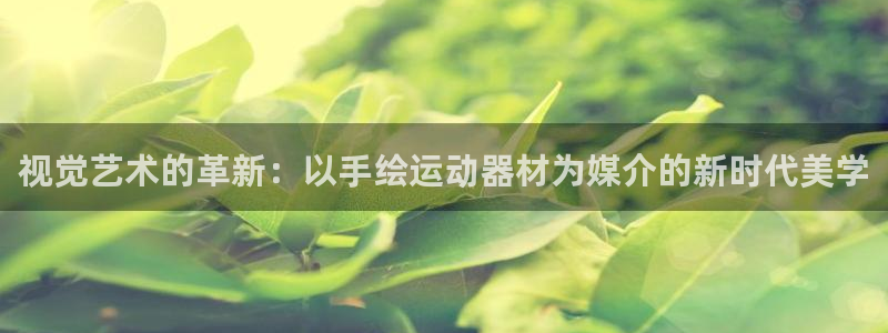 凯捷体育娱乐下载：视觉艺术的革新：以手绘运动器材为媒介的新时