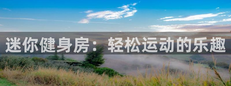 意昂集团官网：迷你健身房：轻松运动的乐趣