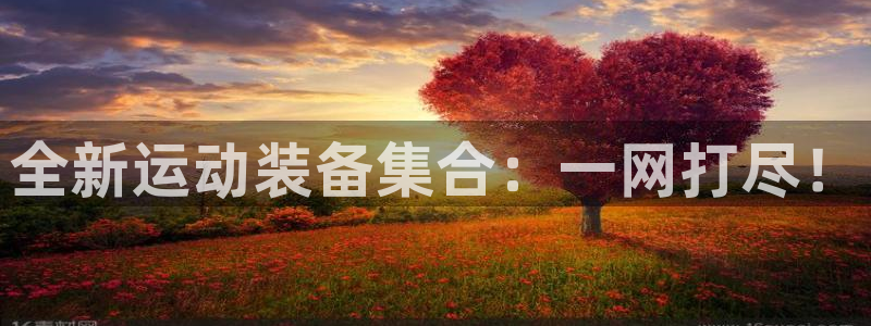 凯捷体育开户