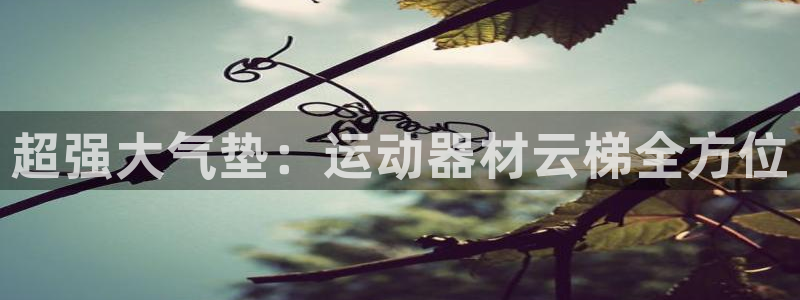 凯捷体育新能源：超强大气垫：运动器材云梯全方位