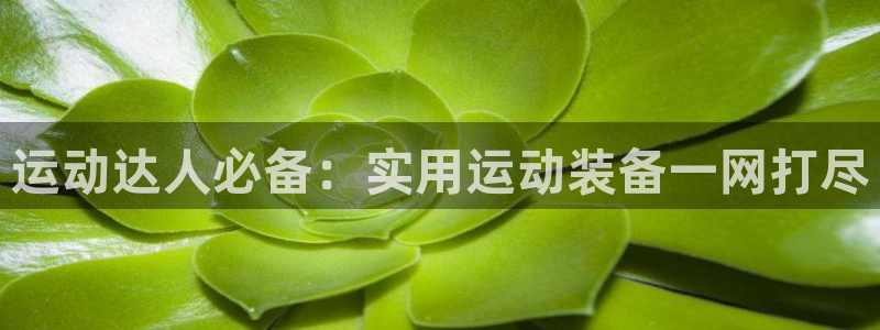 凯捷体育招商电话是多少啊：运动达人必备：实用运动装备