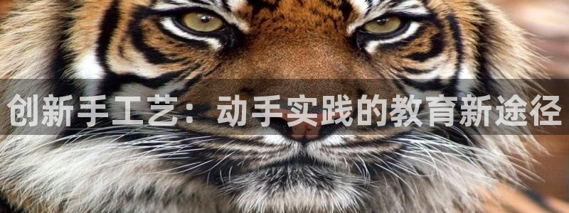 凯捷体育招商电话号码是多少：创新手工艺：动手实践的教