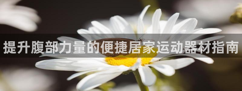 凯捷体育招商电话是多少号码：提升腹部力量的便捷居家运