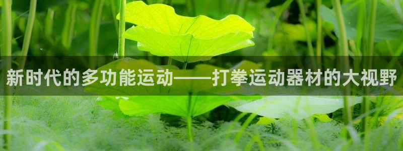 凯捷体育娱乐首页官网下载：新时代的多功能运动——打拳