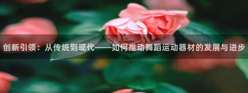 凯捷体育代理：创新引领：从传统到现代——如何推动舞蹈