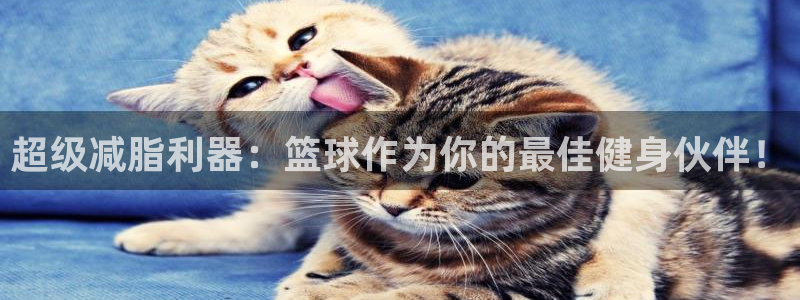 凯捷体育神州：超级减脂利器：篮球作为你的最佳健身伙伴