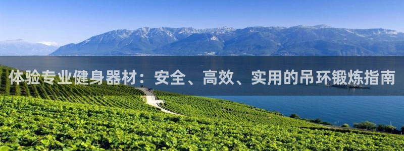 凯捷体育软件：体验专业健身器材：安全、高效、实用的吊