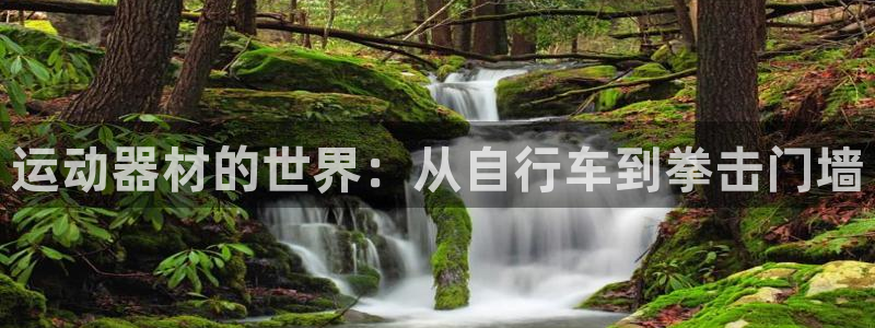 凯捷体育招商电话号码是多少号：运动器材的世界：从自行