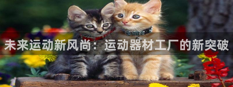 凯捷体育平台是正规平台吗知乎：未来运动新风尚：运动器