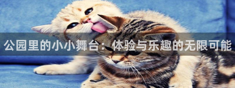 凯捷体育集团E.ON：公园里的小小舞台：体验与乐趣的无限可能