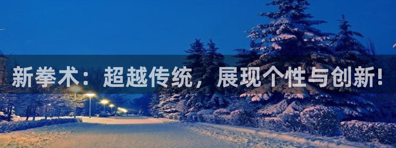 凯捷体育五金厂：新拳术：超越传统，展现个性与创新!