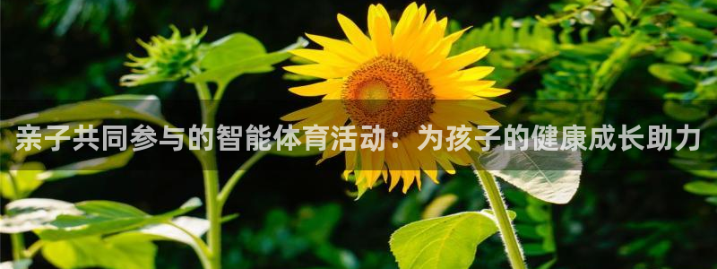 凯捷体育是干嘛的公司：亲子共同参与的智能体育活动：为
