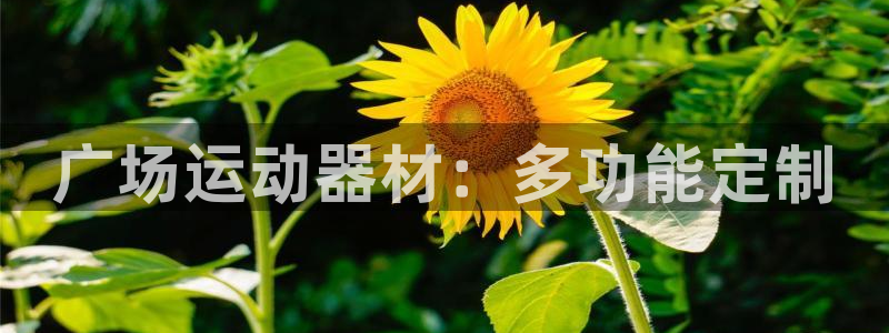 凯捷体育平台注册：广场运动器材：多功能定制