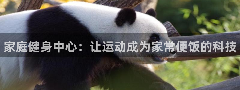 凯捷体育招商电话号码查询是多少