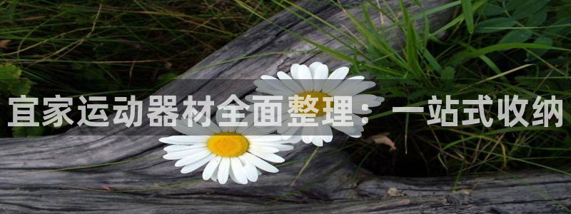 凯捷体育招商电话号码是多少