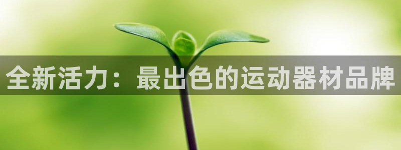 凯捷体育开户：全新活力：最出色的运动器材品牌