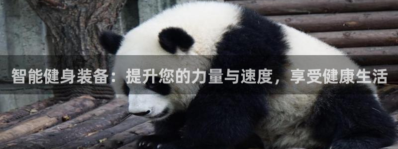 凯捷体育软件：智能健身装备：提升您的力量与速度，享受
