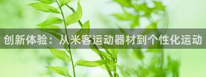 凯捷体育：创新体验：从米客运动器材到个性化运动