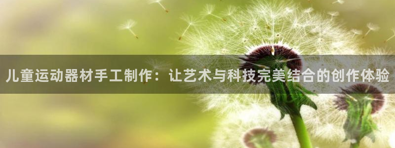 凯捷体育平台注册要钱吗安全吗：儿童运动器材手工制作：