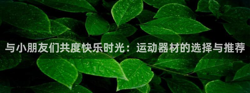 凯捷体育集团简介
