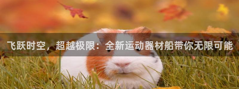 凯捷体育集团简介