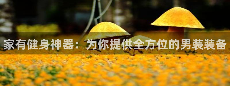 注册凯捷体育：家有健身神器：为你提供全方位的男装装备
