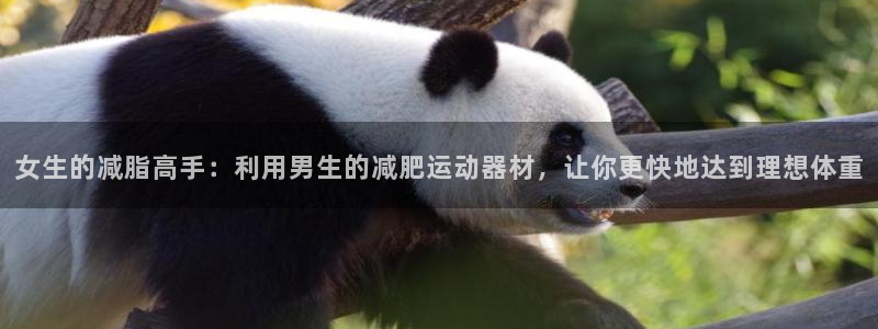 凯捷体育娱乐平台：女生的减脂高手：利用男生的减肥运动